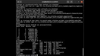 Red Hat 8 Enterprise Server  Formatting a Disk with XFS [upl. by Landel]