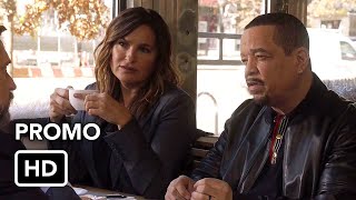 Law and Order SVU 22x04 Promo HD [upl. by Maurits]