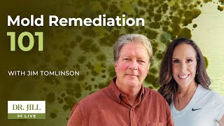 127 Dr Jill interviews Jim Tomlinson on Mold Remediation 101 [upl. by Atkinson476]