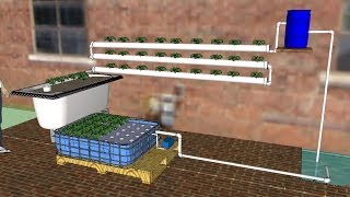 DIY Aquaponics for Beginners 2014 a How To guide to making your first AP system [upl. by Aisinut]