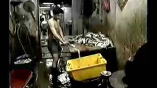 Kowloon Walled City documentary Part 14 [upl. by Yrroc]