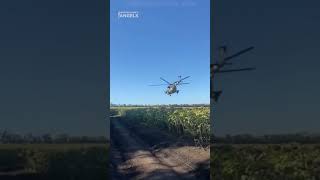 Ukraine helicopters flying low shorts ukraine [upl. by Donalt377]