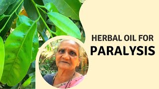 Home remedies For Paralysis  Herbal oil using Karingotta plant for paralysis  Herbal Oil Making [upl. by Ydnem]