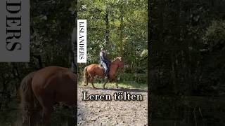 Leren tölten op een IJslander horsetrainer horse horsetraining equestrian horseriding paarden [upl. by Lenka324]