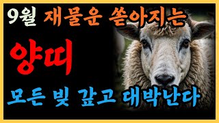 2024년 갑진년 하반기 9월 양띠운세 이제 모든 고생 끝나셨습니다 하늘이 도와 재물운 대박나고 모든 빚 다 갚게됩니다 91년 79년 67년 55년생 양띠운세 9월운세 [upl. by Vtarj]