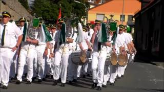 Schützenfest in Steinhausen 2017 [upl. by Yremrej712]