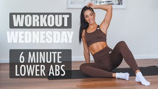 6 MINUTE LOWER ABS  Follow Along Workout [upl. by Luben501]