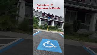 Abandoned Red Lobster 🦞 in Florida Happy 😄 Monday [upl. by Ocker291]