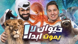 تحدي المعلومات  حيوانات غريبة 2 🐙🐋 [upl. by Leahcimnaj892]