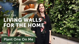 LIVING WALLS amp VERTICAL GARDEN Systems — Ep 366 [upl. by Montana91]