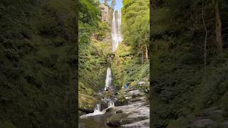 Pistyll RhaeadrWaterfall pistyllrhaeadr waterfall vales england uk video shorts [upl. by Blodget]