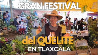 Una Fiesta de Sabores y Arte Festival del Quelite en TLAXCALA [upl. by Ayalahs238]