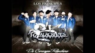 quotPerdidosquot Alacranes Musical Ft Los Horoscopos de Durango [upl. by Naxela]