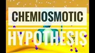 Chemiosmotic Hypothesis  ATP synthesis [upl. by Dnumsed]