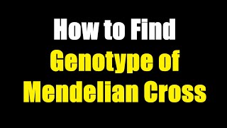 How to Find Genotype of F2 Generation of Mendelian Cross [upl. by Ahsatel]