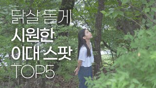 닭살 돋게 시원한 이대 스팟 TOP5 [upl. by Ligetti851]