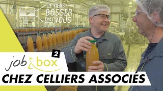 Tes plutôt cidre ou jus de pommes  Découvre le job de conducteur de ligne chez Celliers Associés [upl. by Noe119]