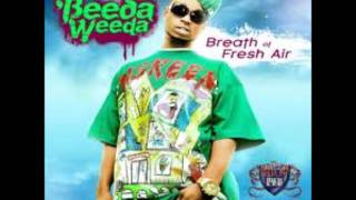 Beeda Weeda  Bassrock Babies Prod DJ Fresh [upl. by Edahs570]