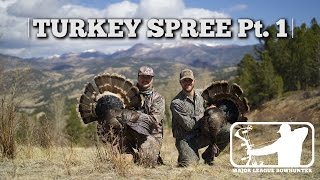 Turkey Spree Pt 1  Colorado Turkey Hunting  Major League Bowhunter [upl. by Navert]