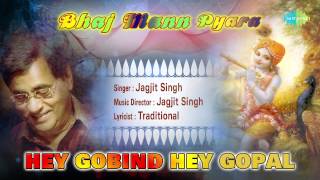 Hey Gobind Hey Gopal  Hindi Devotional Song  Jagjit Singh [upl. by Hagile300]