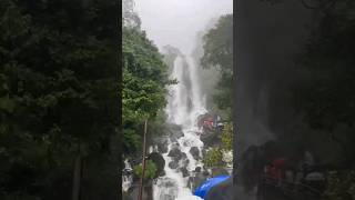 amboli waterfall [upl. by Akirehc]