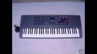 Bielyje rozy  Casio CTK550 [upl. by Nikolos]