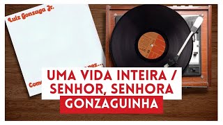 Gonzaguinha  Uma Vida Inteira  Senhor Senhora Lyric [upl. by Ylhsa]