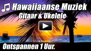 Hawaiiaanse Muziek Ontspannen Gitaar Ukulele Nummers Akoestisch Hawaii studie happy hour instrumenta [upl. by Refinej802]