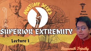 SUPERIOR EXTREMITY Lecture 1  Biswanath Tripathy  Comprehensive Anatomy Series  MBBS [upl. by Tawnya8]