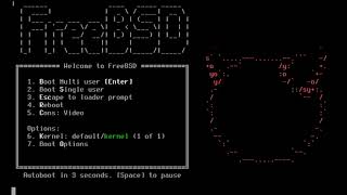 An Introduction to the FreeBSD Operating System [upl. by Marji]