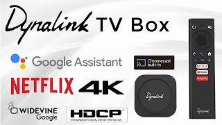 Dynalink TV Box DL ATV36 Android 10 Google Certified TV Box Review [upl. by Salisbury]