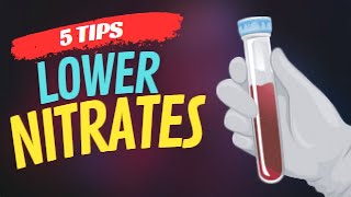 How to REMOVE NITRATES from your Aquarium 3 steps to Balance Nitrate levels in your Aquarium [upl. by Karon]