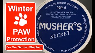 Ep116 Mushers Secret Extreme cold dog paw protection amp Hot Weather Paw protection too [upl. by Euqor346]