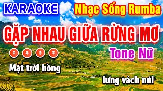 Gặp Nhau Giữa Rừng Mơ Karaoke Cha Cha Cha Tone Nữ  Beat Hay Dễ Hát  PVQ Karaoke [upl. by Davey79]