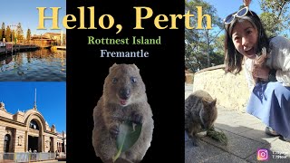 여행vlog 🇦🇺호주  서호주 퍼스여행  쿼카섬 Rottnest Island amp Fremantle [upl. by Tiphane620]