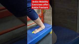 Ankle Mobility Exercises after Ankle Fracture physiotherapy [upl. by Anelem349]