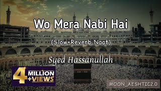 Wo Mera Nabi Hai SlowReverb Naat  Syed Hassanullah  MoonAeshtic20 [upl. by Nodnarbal109]