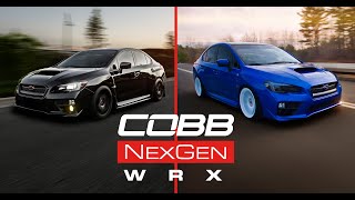 COBB Tuning  20152021 WRX NexGen Packages and Maps [upl. by Analra]