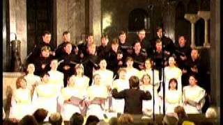 Youth Choir of Petcherskaja Lavra Kiev [upl. by Anrev]