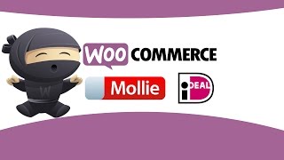 WooCommerce iDEAL Mollie plugin voor betalingen [upl. by Nylknarf]