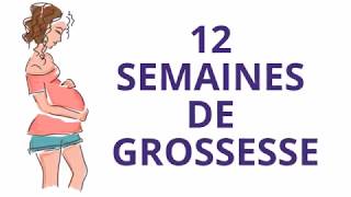 12 SEMAINES DE GROSSESSE OU Douzième semaine de grossesse [upl. by Keane]