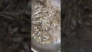 small dried fish short satisfying yummy asmrsounds trending [upl. by Hook]