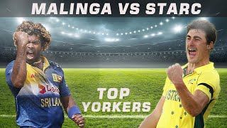 Starc Vs Malinga Yorkers  Starc Bowling  Maling Yorker wickets [upl. by Jaime819]