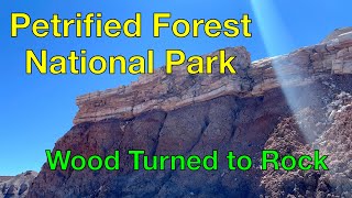 Petrified Forest National Park [upl. by Demah15]