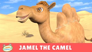 Jamel the Camel  Jamil and Jamila Songs for Kids [upl. by Lael]