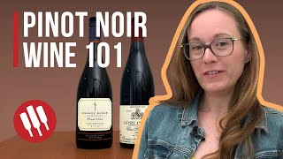 Pinot Noir Everything you need to know  Grapes 101 [upl. by Nosirrah]