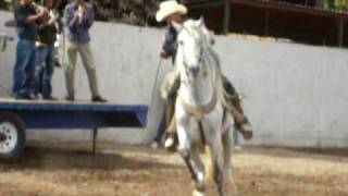 caballo bailador del guacho jose cocorit sonora [upl. by Velick]