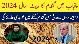 wheat support price in punjab pakistan 2024 [upl. by Notyarb]