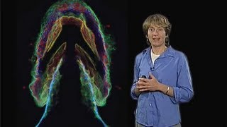 Carolyn Bertozzi UC Berkeley Part 2 Imaging the Glycome [upl. by Ennahgiel240]