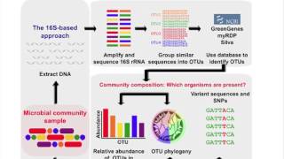 The Microbiome and the Human Microbiome Project [upl. by Pelligrini]